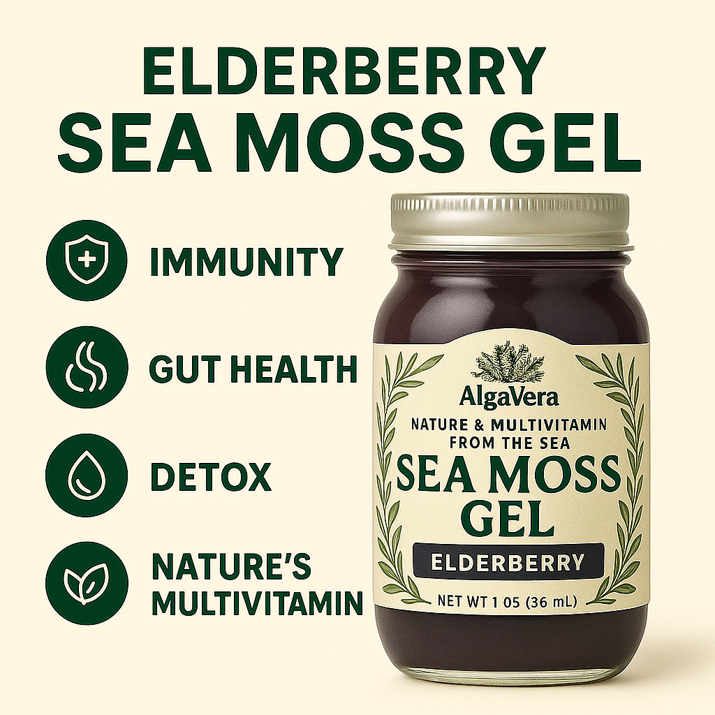 AlgaVera Turmeric Sea Moss Gel – Organic Superfood for Gut Health, Detox & Immunity – 16 oz