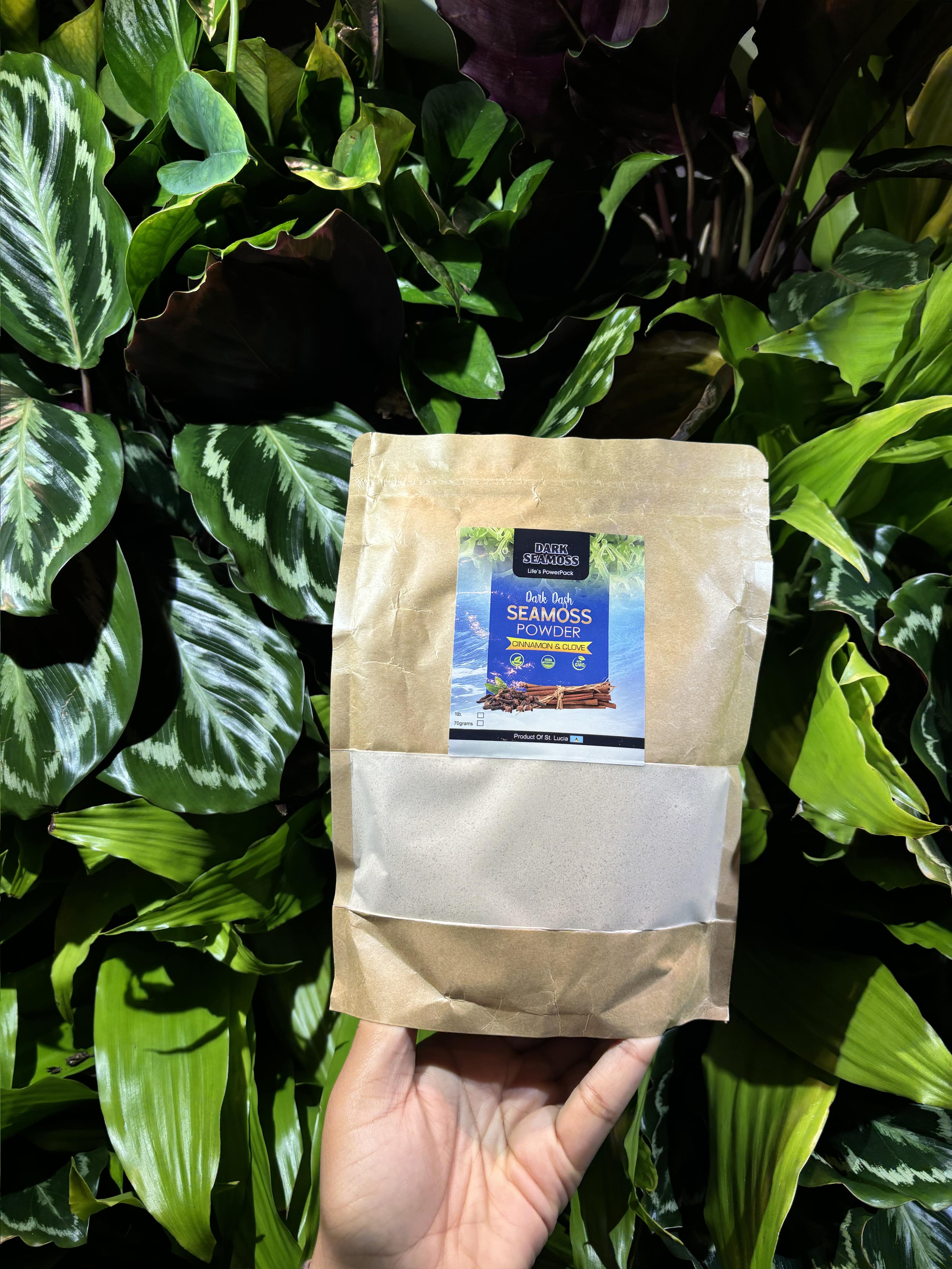 Dark Seamoss Dark Dash Cinnamon & Clove Sea Moss Powder